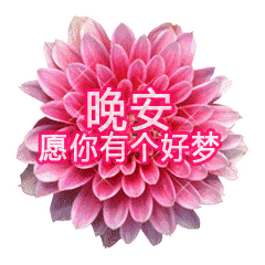  晚安表情包晚安表情图片