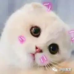  考不上教师编制,教师资格证是不就压箱底啦