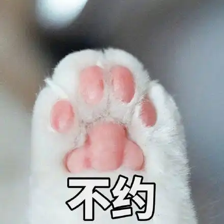  作为女生,你怎么能不来收这波表情包可爱又撩人,女生专用哦