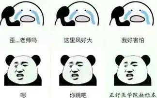  盘点各大专业表情包明明是一个悲伤的故事却忍不住笑出声