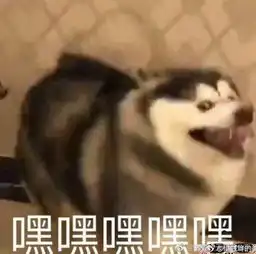 程潇陈乔恩柳岩竟然如此放得开这档魔鬼综艺大概是有毒吧