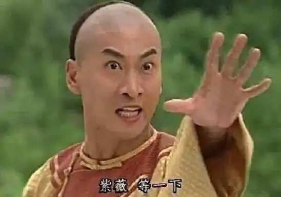 我就是这么叼表情包尔康