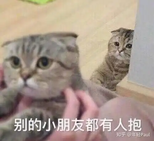  为什么男的撩你撩一个星期就不撩了