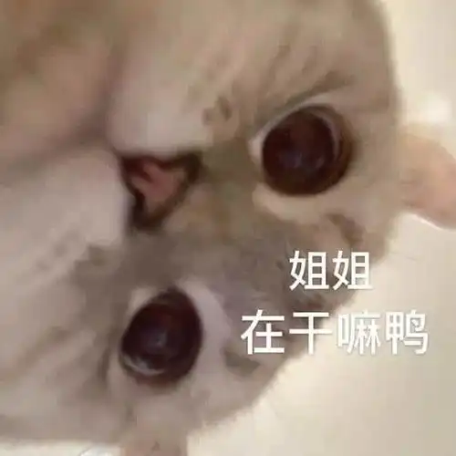  表情包各位快乐吧,我先告辞了