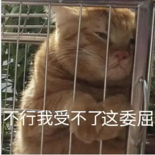 这个冬日不惧寒冷,穿上它,管我怎么运动