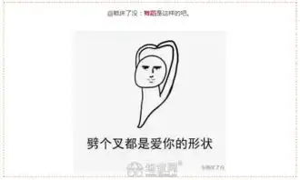  笑喷用一个表情包形容你的专业,网友太有才了
