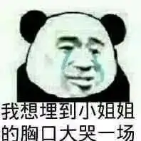  沙雕熊猫头表情包被伤过的心就像玻璃碎片