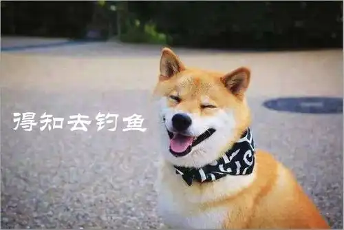  每个钓鱼人身边都有几位奇葩钓友,钓鱼真的很认真