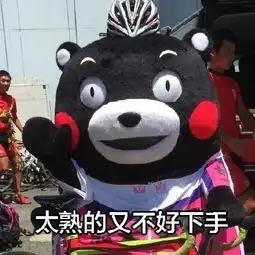  熊本熊带字表情包单身至今的原因
