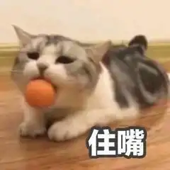  小动物表情包008