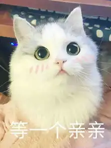  猫咪要亲亲表情包猫咪要亲亲表情包无水印大全
