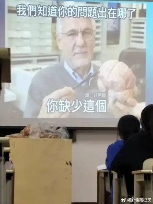 光遇好玩吗表情包上课