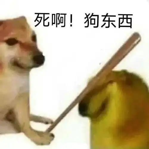  贱兮兮柴犬表情包