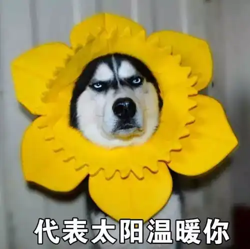  下周招聘会北京大学生就业之家双选会中国传媒大学专场等招聘会信息