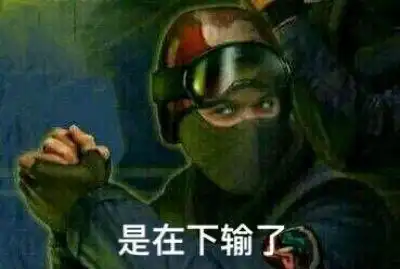 csgo陀螺表情包csgo