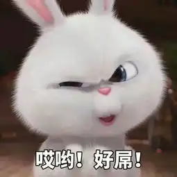  没存在感是什么体验