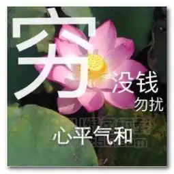  我可爱懂吗表情图片我可爱懂吗表情包无水印版jz5u绿色下载站