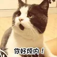  小猫表情包大全