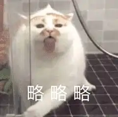  表情网红猫楼楼动态表情