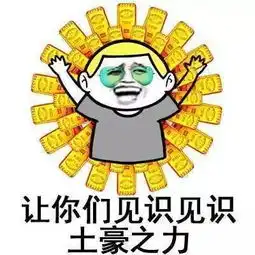  准备领钱3251亿元已发出平湖去年分红1500万元今年