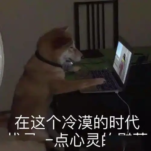  抖音热门表情包i死猪不怕滚水烫