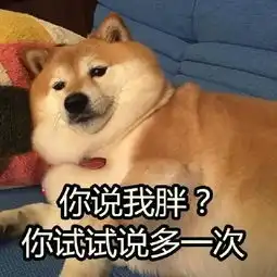  还在养奶茶肚100蔬菜汁营养更减脂,全家都抢着喝