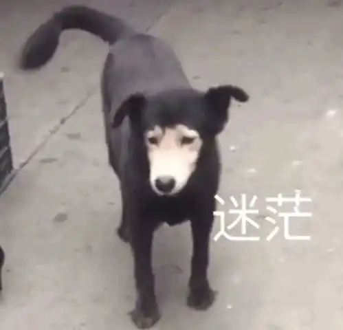  超搞笑表情包不笑你打我记得保存哦