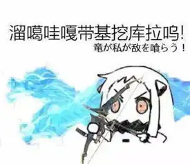 龙王的表情包先锋