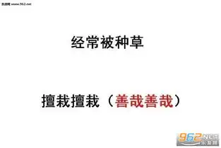  眼睛不好脱发佛系简称盲僧表情图片佛系人生表情包下载乐游网游戏下载