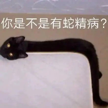  我小恐龙要思考一下
