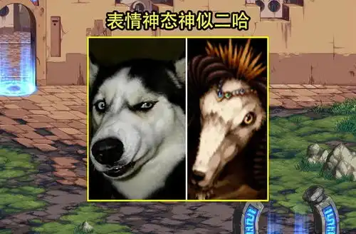  dnf3.17解包内容曝光策划再现医学奇迹,二哈表情包玩疯了