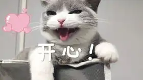  lucky小确幸这是什么味儿铲屎官深夜打理猫砂盆,熏成表情包