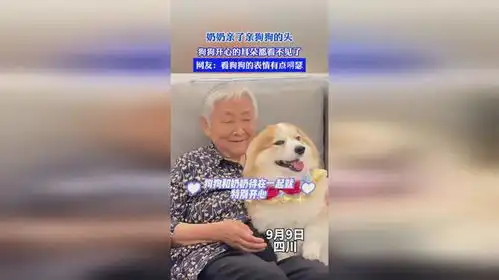  奶奶亲了亲狗狗的头,狗狗开心的耳朵都看不见了,网友看狗狗的表情有点嘚瑟
