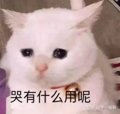太难了表情包小女孩无所