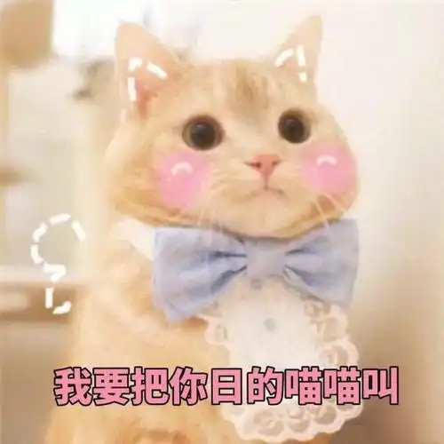  有什么套路女朋友的表情包