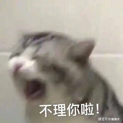  微信聊天常用表情包图片谢谢拿图