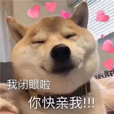 傻眼表情包狗狗表情包