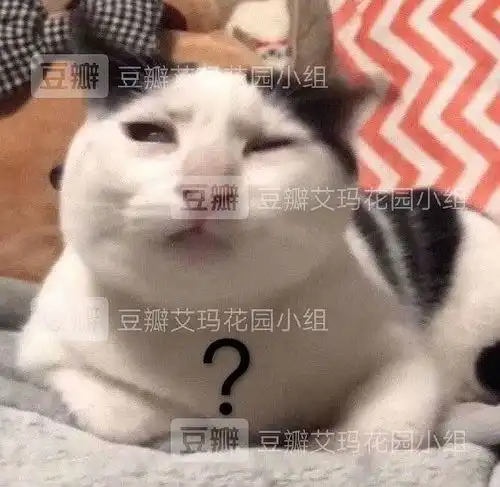 冲不动了的表情包性别意