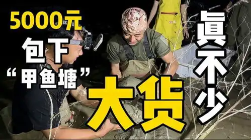 csgo陀螺表情包田里