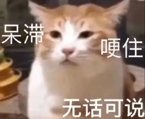  备考指南雅思新手屠鸭指南,这些坑一定要记得避开
