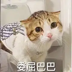  我还想给祖国母亲再过一次农历生日