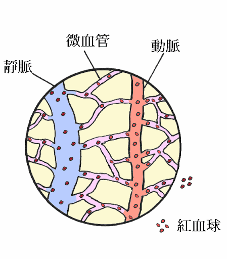  刘敏涛表情管理2.0来了但比她表情更精彩的是把跳舞变成了蹦迪
