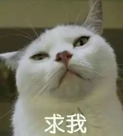  最全可爱猫咪表情合集