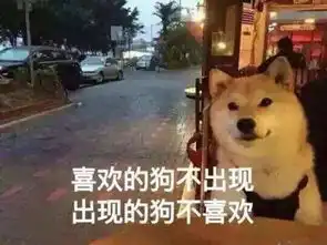  撩妹指南这些套路都不知道活该你单身