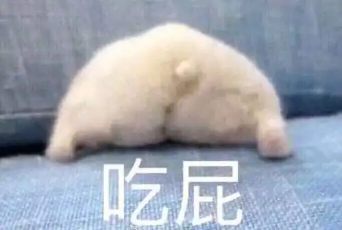  有什么可爱的狗狗表情包