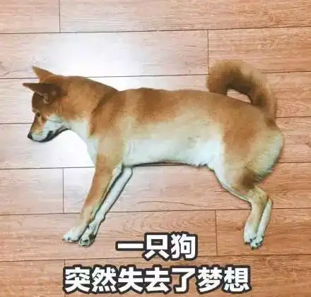  动图宇宙情人节创意表白表情包,又刷屏