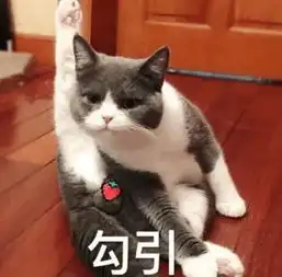  动图宇宙网红表情博主从未说出口的秘密满屏小心心原来是这样做的