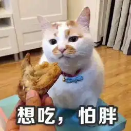 啥呀表情包猫叫