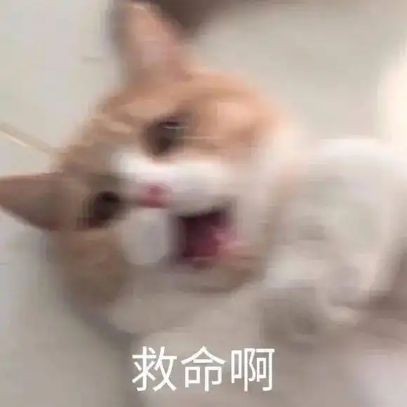  表情包我乖一点你能一直喜欢我吗