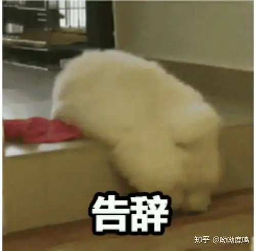 不敢相信表情包撤回